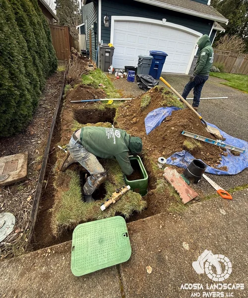 Lawn Care & Sprinkler System Installation in Lynnwood 